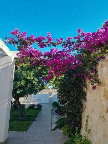 Chambre d’hôte pour 2 personnes, avec vue ainsi que terrasse et jardin à Bari