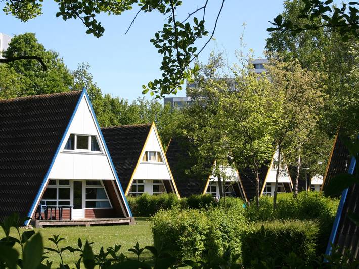 Ferienhaus für 8 Personen, mit Sauna und Terrasse, mit Haustier in Damp - 4
