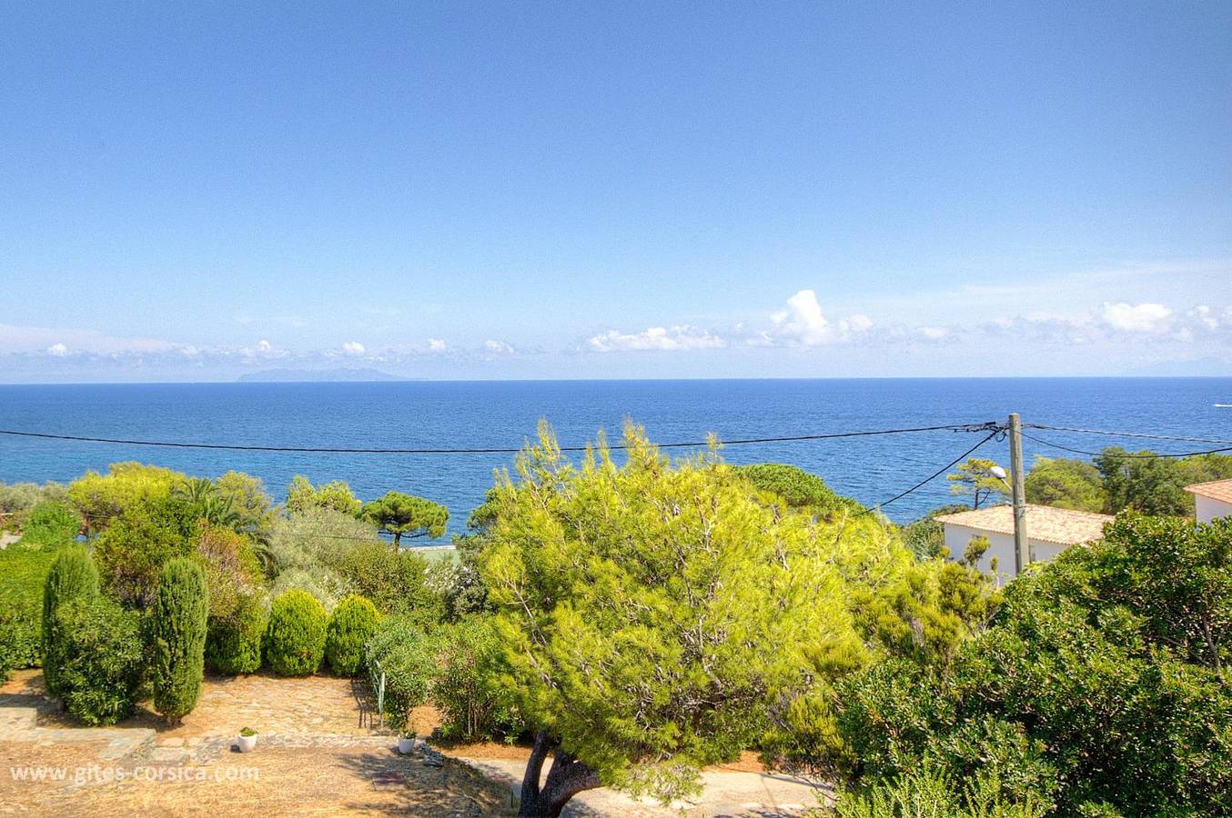 A Pianatella - Les Palmiers in Luri, Cap Corse