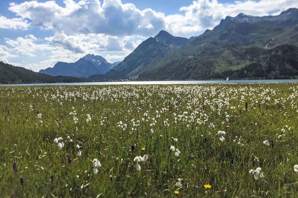 Apartamento entero, Cad Maté 1 in Bregaglia, Alpes del Bernina