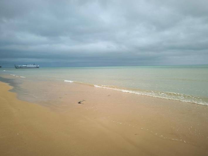 Location de vacances pour 11 personnes, avec jardin et vue, animaux acceptés à Cartigny-l'Épinay - 3