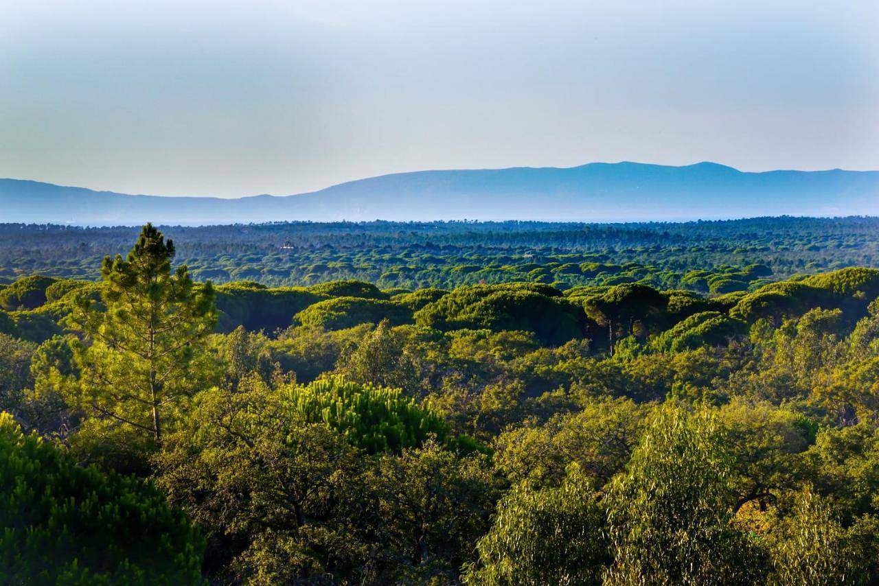 A Serenada Enoturismo in Grândola e Santa Margarida da Serra, Costa Alentejana