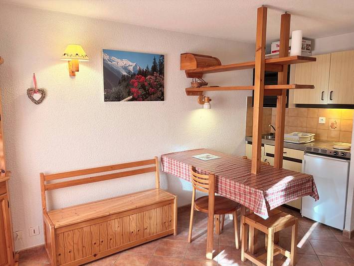 Ganzes Studio, Studio zentral, 4 Pers., 850m zu Liften, Shops, Kino, Balkon, Skiraum, Tiere erlaubt in Les Carroz, Arâches-la-Frasse