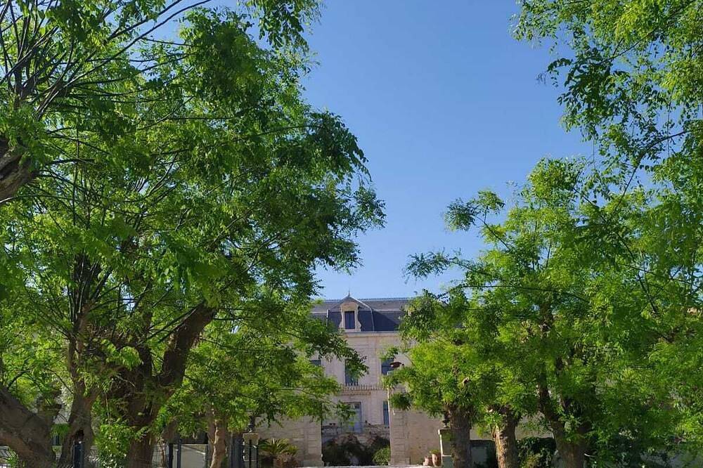 La Châtelaine -Château La Vidalle - Charming bed and breakfast in the heart of a stud farm in Vendres, Côte méditerranéenne (France)