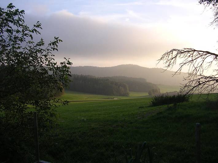 Ferienhaus für 4 Personen, mit Sauna und Garten, mit Haustier in Naturpark Oberpfälzer Wald - 2