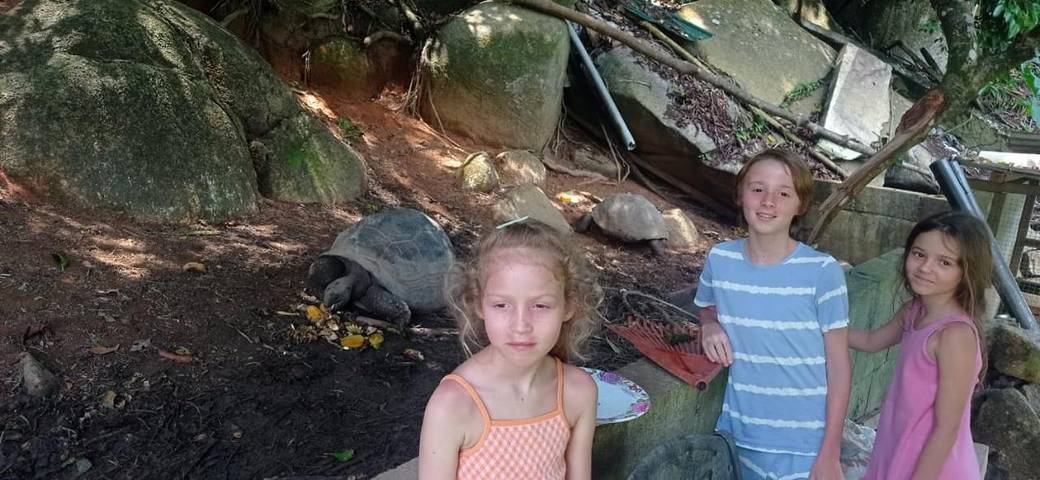 Gîte pour 5 personnes, avec jardin dans Takamaka - 2