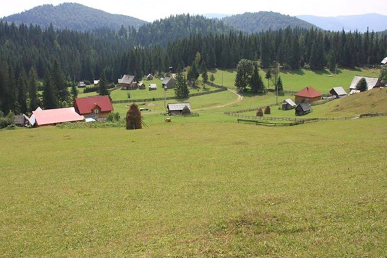 Triple Room with Shared Bathroom in Alba (Romania)