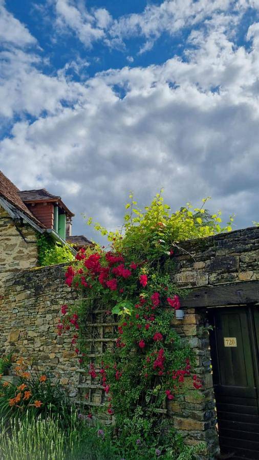 Location de vacances pour 4 personnes, avec jardin et vue à Jumilhac-le-Grand - 3