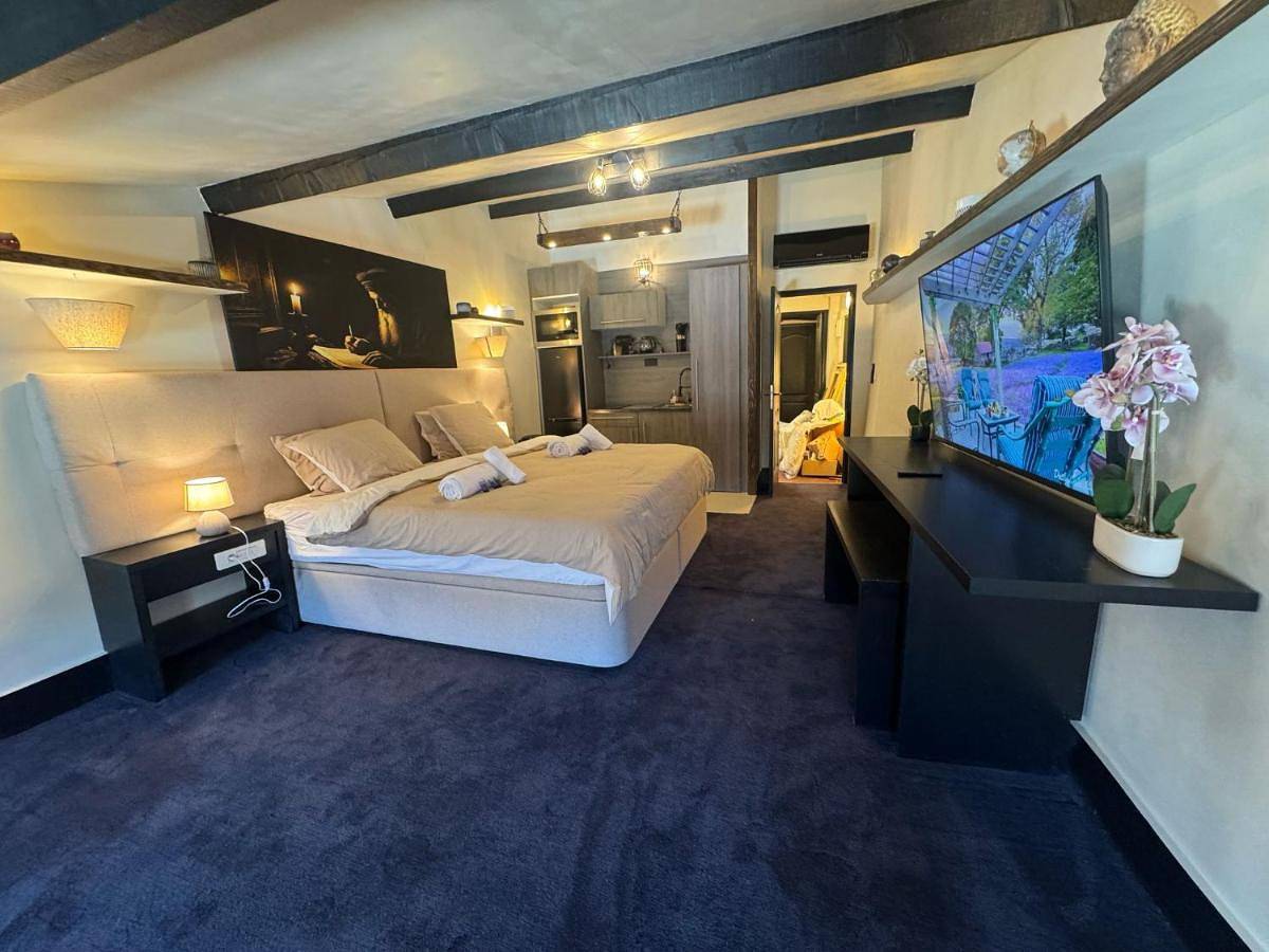 Double or Twin Room with Private Bathroom in Salon-de-Provence, Côte méditerranéenne (France)