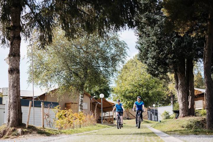 Mobil home pour 4 personnes, animaux acceptés dans Dochamps - 3