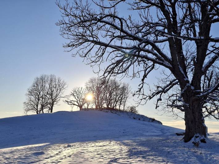 Ferienwohnung für 2 Personen, mit Balkon, mit Haustier in Sankt Andreasberg