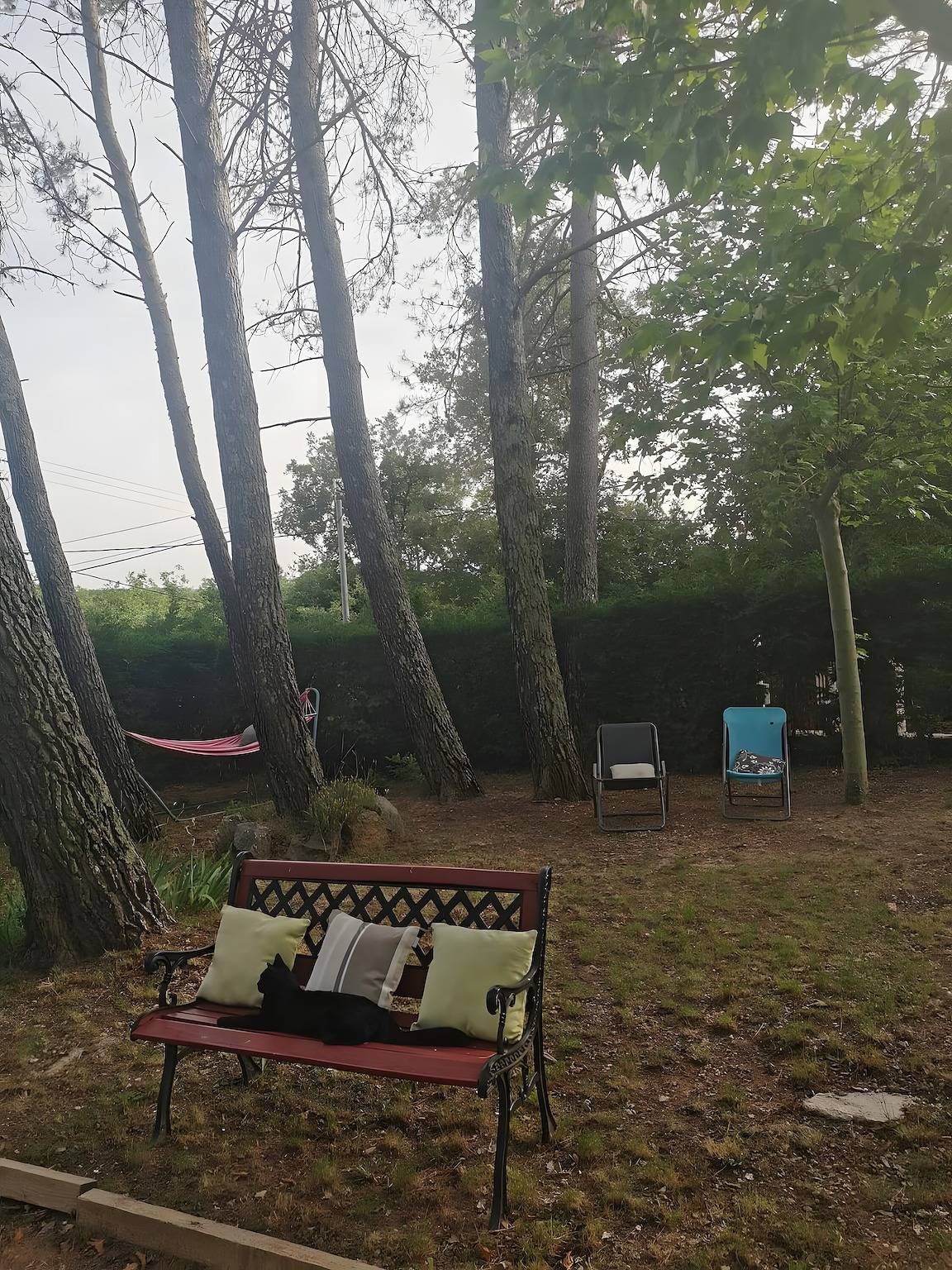 Holiday Home 'Maison D'Odette' with Private Terrace, Wi-Fi and Air Conditioning in Tourves, Brignoles region