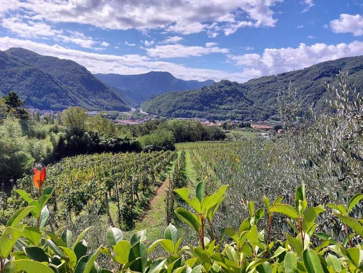 Agriturismo per 2 persone, con Terrazza e Giardino nonché Piscina e Panorama a Bagni di Lucca