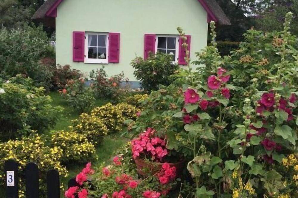 Buzo de garganta roja Retiro moderno in Putgarten, Rügen