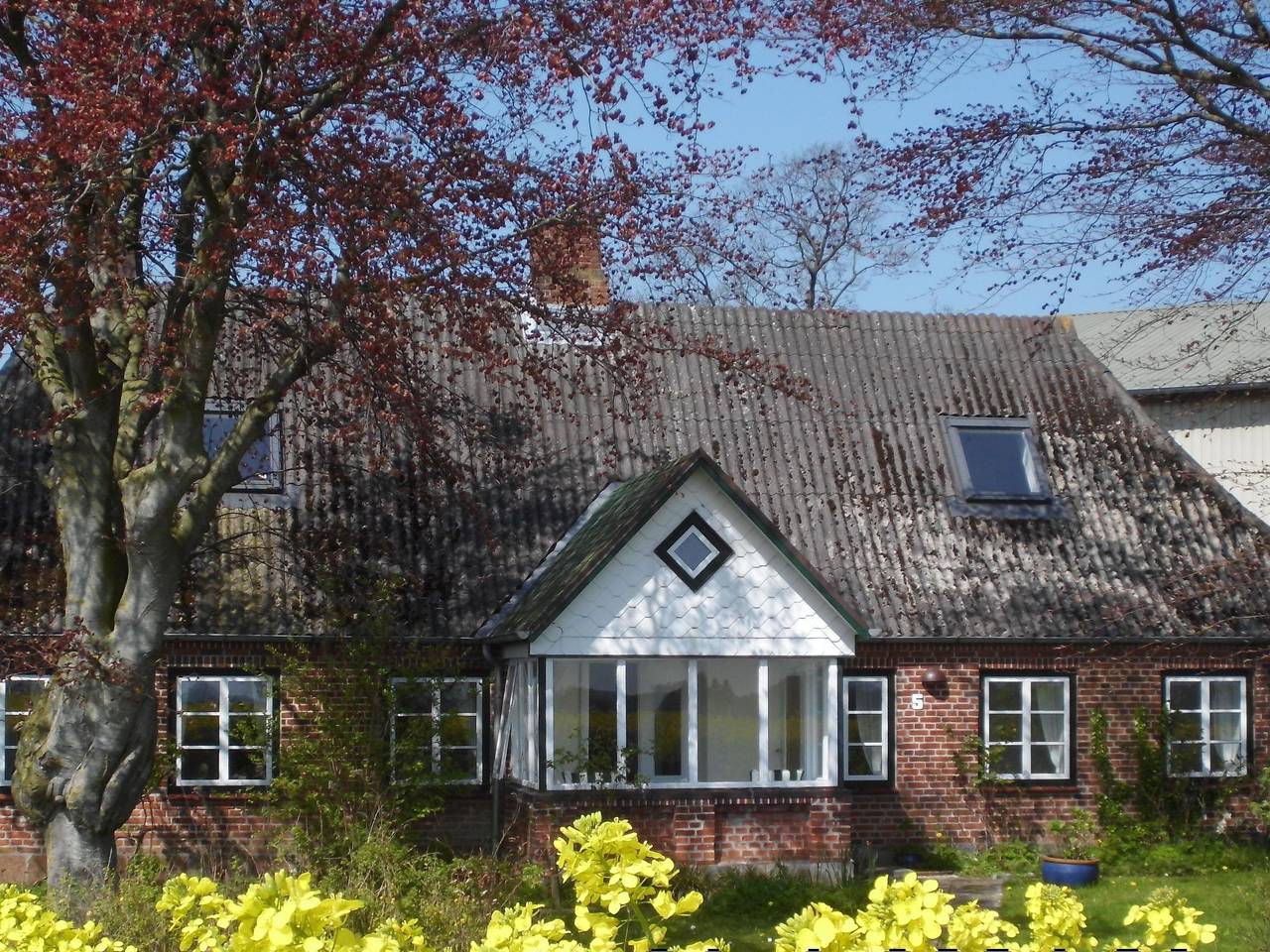 Land-Ferienhaus in Stoltebüll, Kappeln & Umgebung