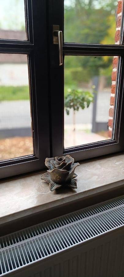 Les roses d'Olga in Belœil, Hainaut