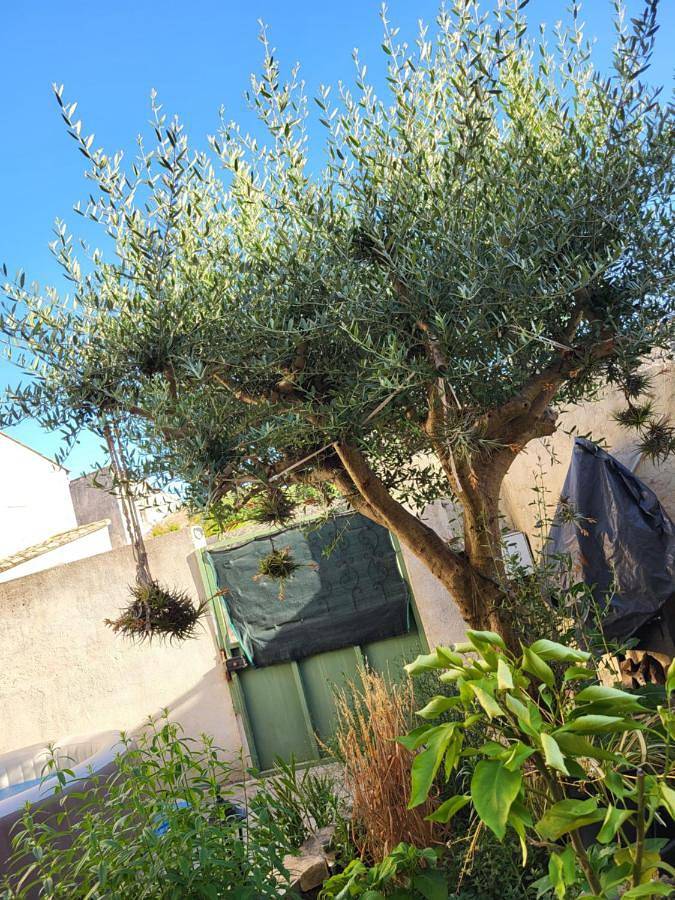 Au 3 bis in Caderousse, Vaucluse