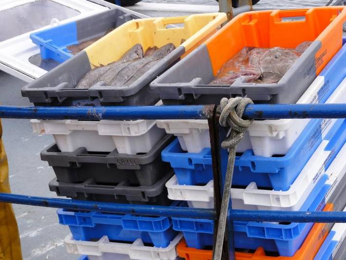 Location de vacances pour 2 personnes, avec jardin et vue dans Saint-Guénolé - 4