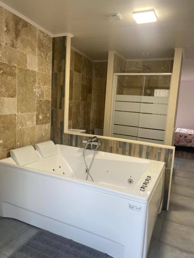 Gîte pour 2 personnes, avec jacuzzi et jardin à Serris - 3