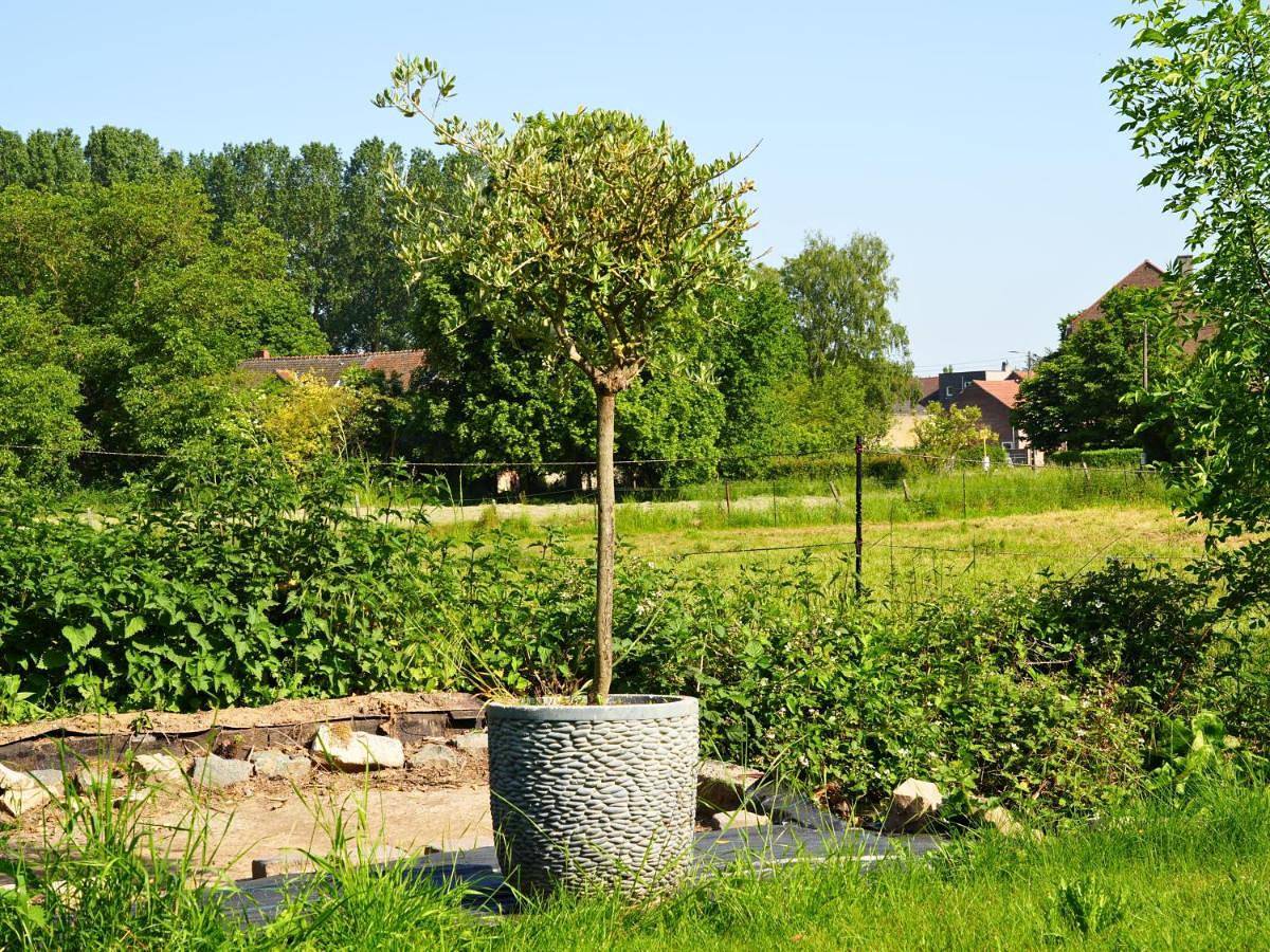 L'Authentique - maison de campagne by La Conciergerie in Beauvechain, Province du Brabant wallon