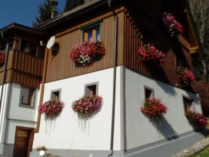 Ferienhaus für 4 Personen, mit Garten und Balkon, kinderfreundlich in Schladming-Dachstein - 4