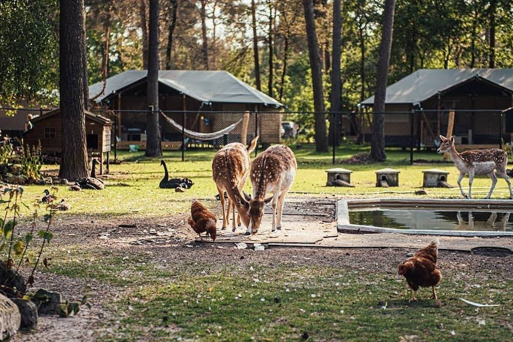 Chalet am Campingplatz mit vielen Einrichtungen in Nordbrabant