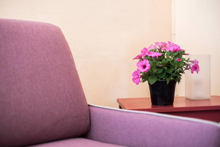 Bauernhaus für 3 Personen, mit Garten in der Toskana - 4