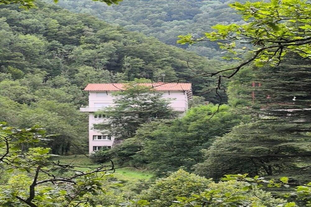 Appartement entier, Studio perché dans la flore du haut Vallespir in Prats-de-Mollo-la-Preste, Région de Céret