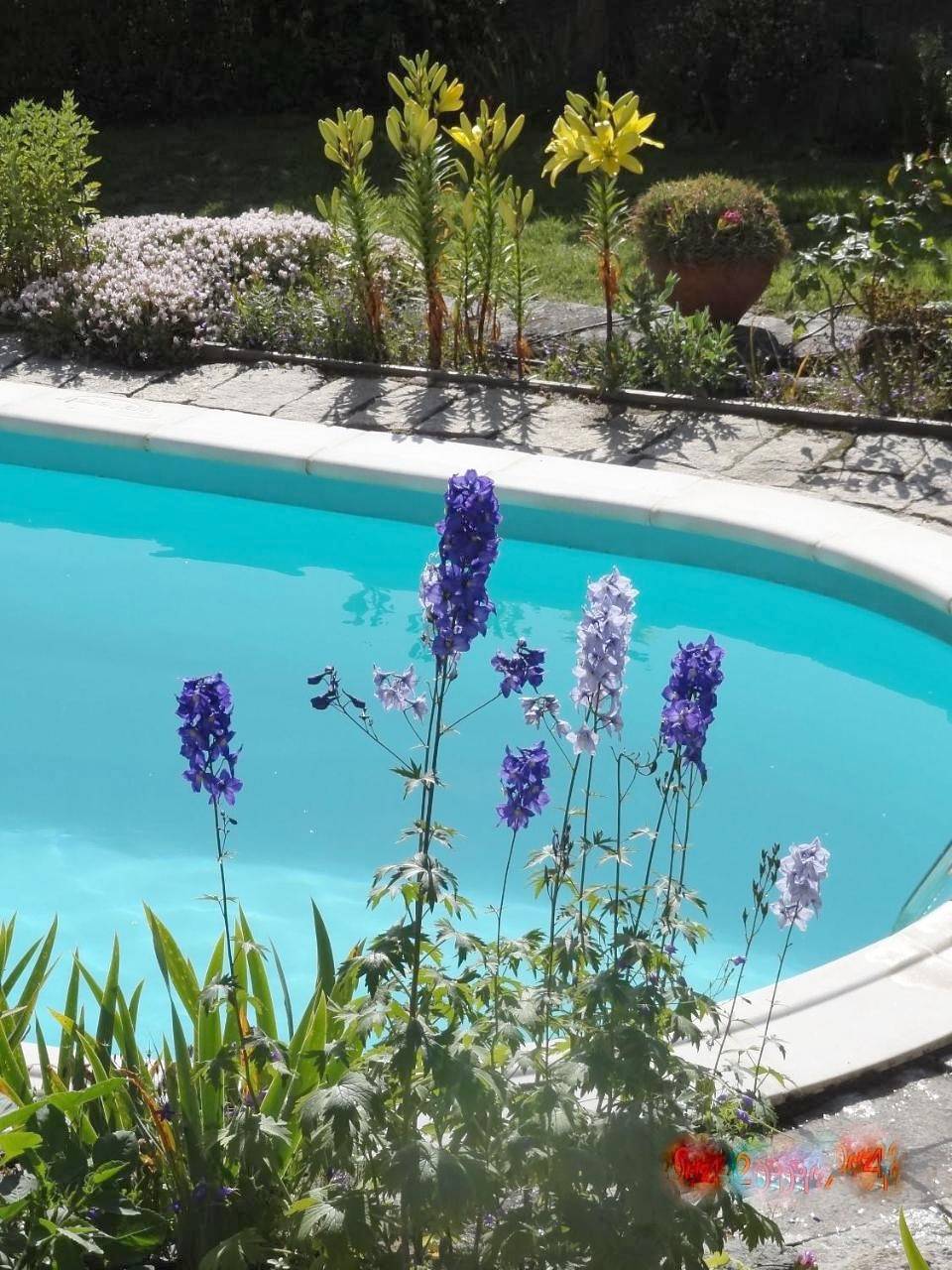 Quinta das Delicias in Oliveira de Frades, Distrito de Viseu