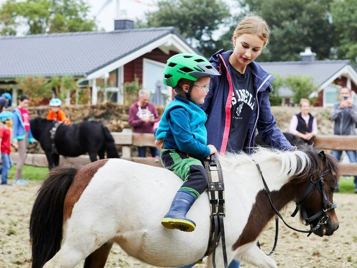Ferienhof Brandt - Seepferdchen in Hedwigenkoog, Kreis Dithmarschen