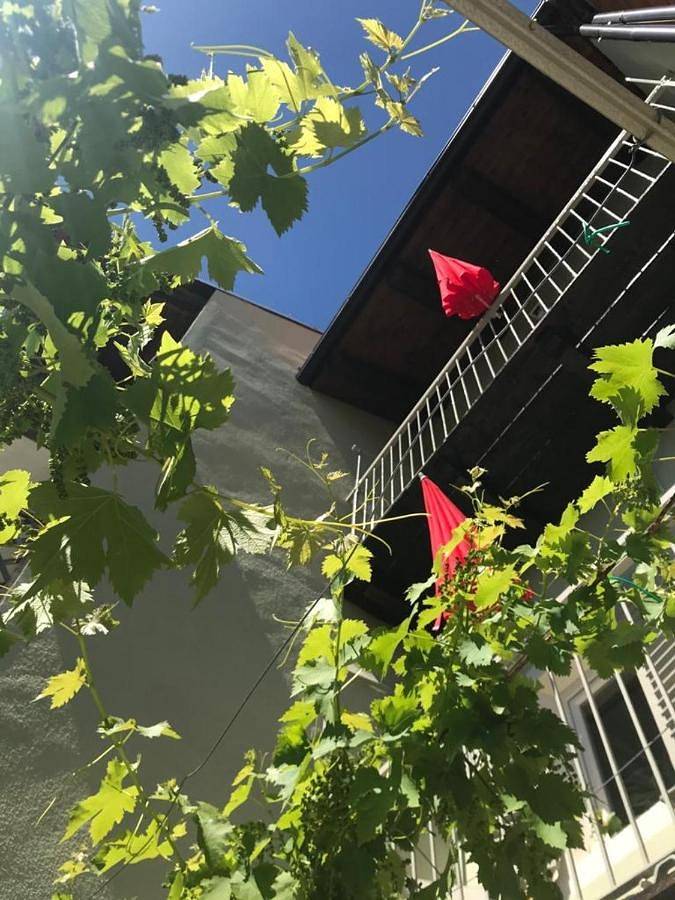 Gîte pour 2 personnes, avec vue et terrasse à Govone - 3