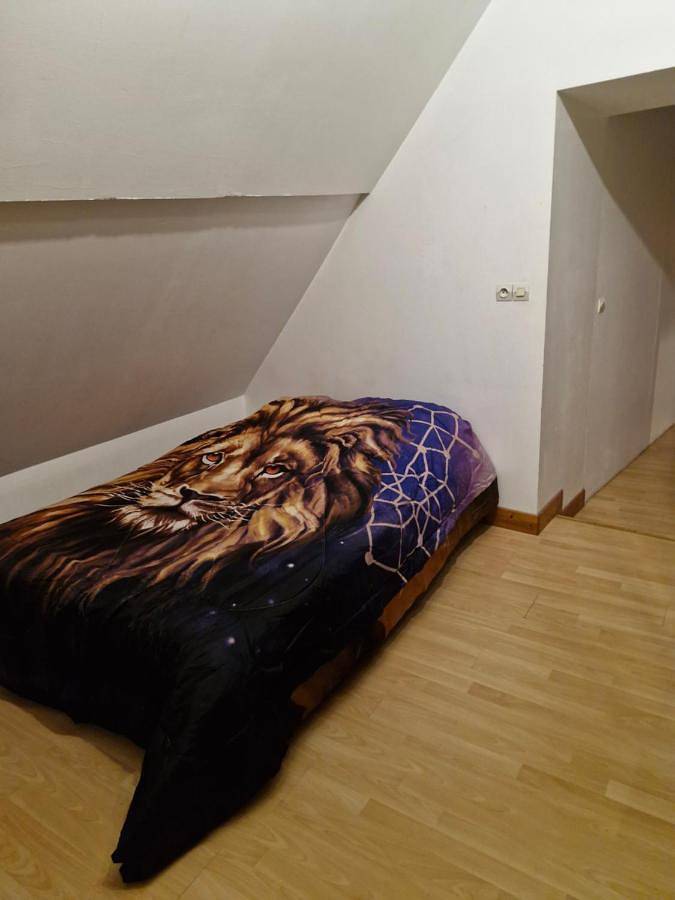 Location de vacances pour 6 personnes, avec jardin et terrasse à Besson - 4