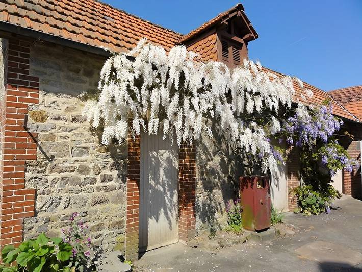Chambre d’hôte pour 7 personnes, avec jardin, animaux acceptés dans la Manche - 4