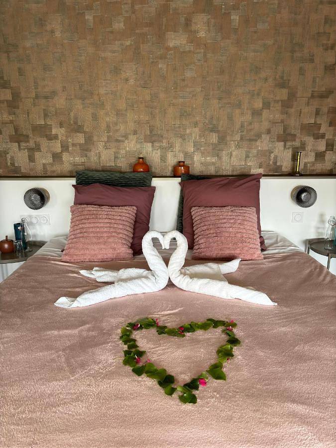 Chambre d’hôte pour 2 personnes, avec jardin et piscine ainsi que jacuzzi et sauna dans Haute-Garonne - 4