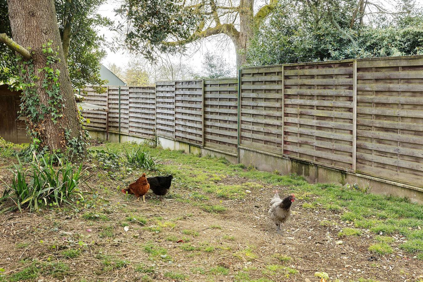 Gîte « À l’orée d’Angers » avec terrasse privée et jardin, proche de Terra Botanica in Avrillé, Région d'Angers