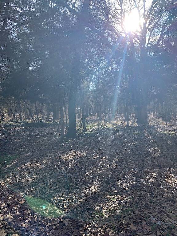 Texoma Getaway - Tiny House on a Cannabis Farm in Lake Texoma