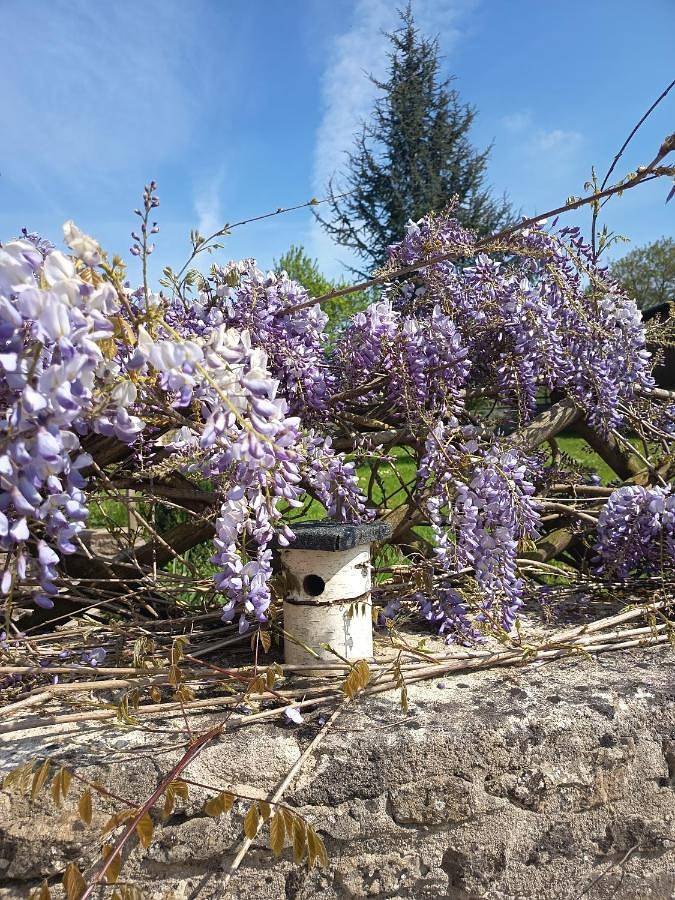 Location de vacances pour 6 personnes, avec vue et jardin à Tour-en-Bessin - 4