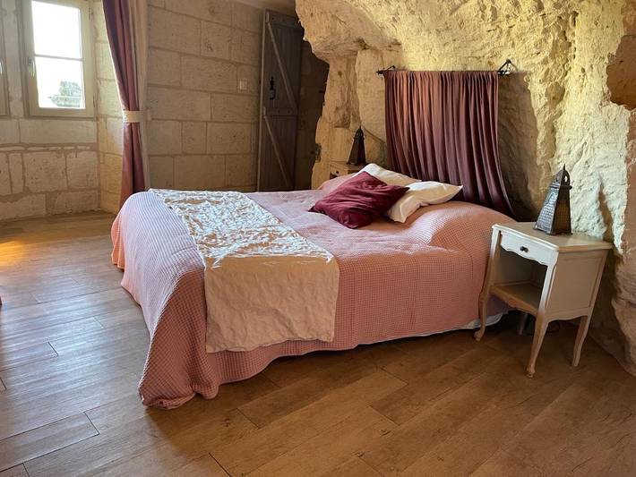 Gîte pour 6 personnes, avec jardin et vue, animaux acceptés à Souzay-Champigny