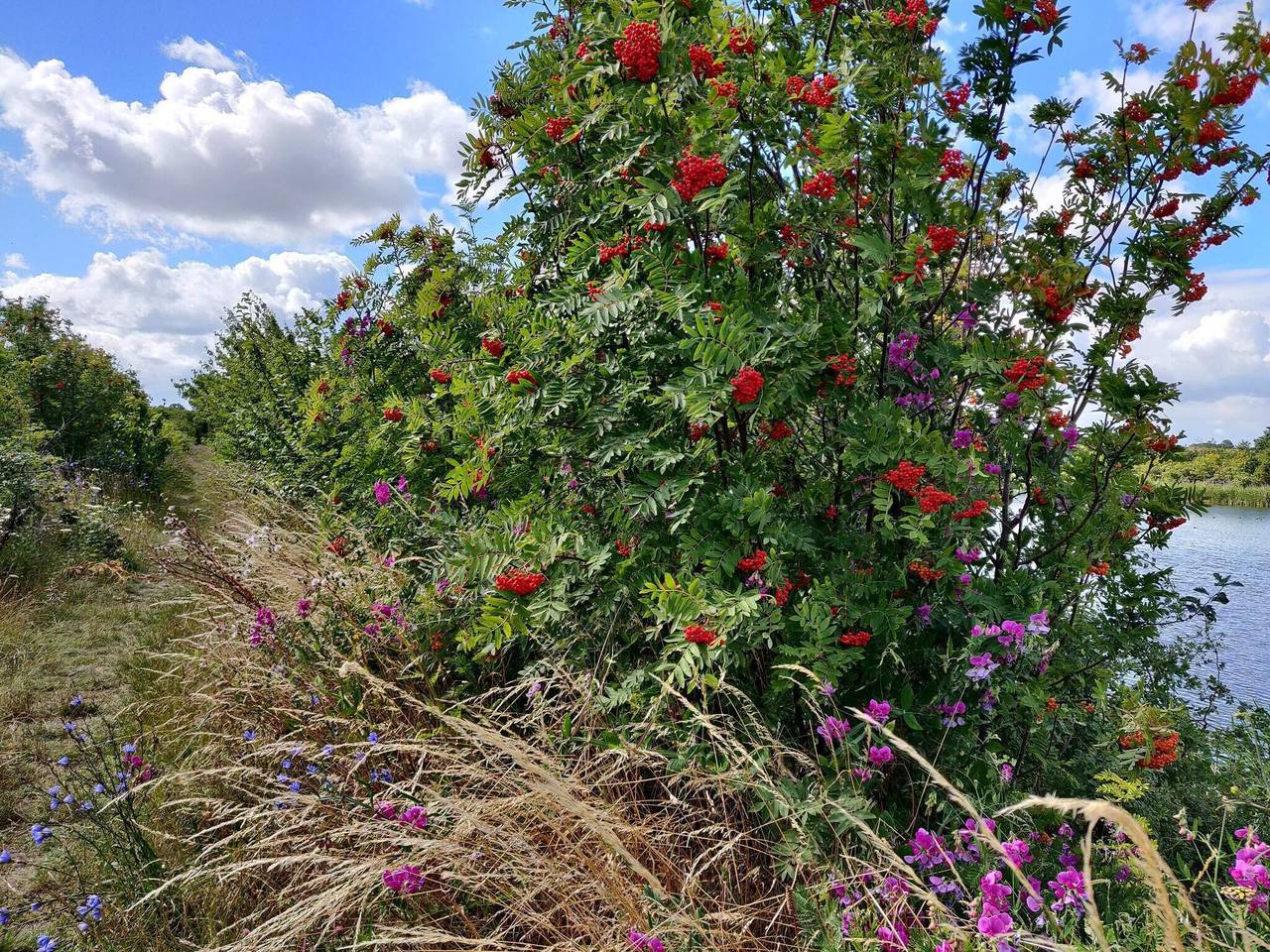 7 Personen Ferienhaus in Stege-By Traum in Vordingborg und Umgebung