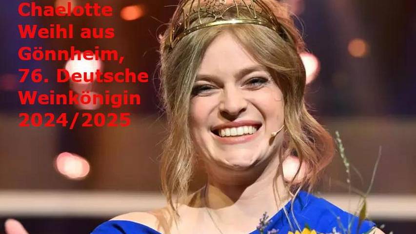 Ferienwohnung für 4 Personen, mit Sauna und Garten in Deutsche Weinstraße - 2