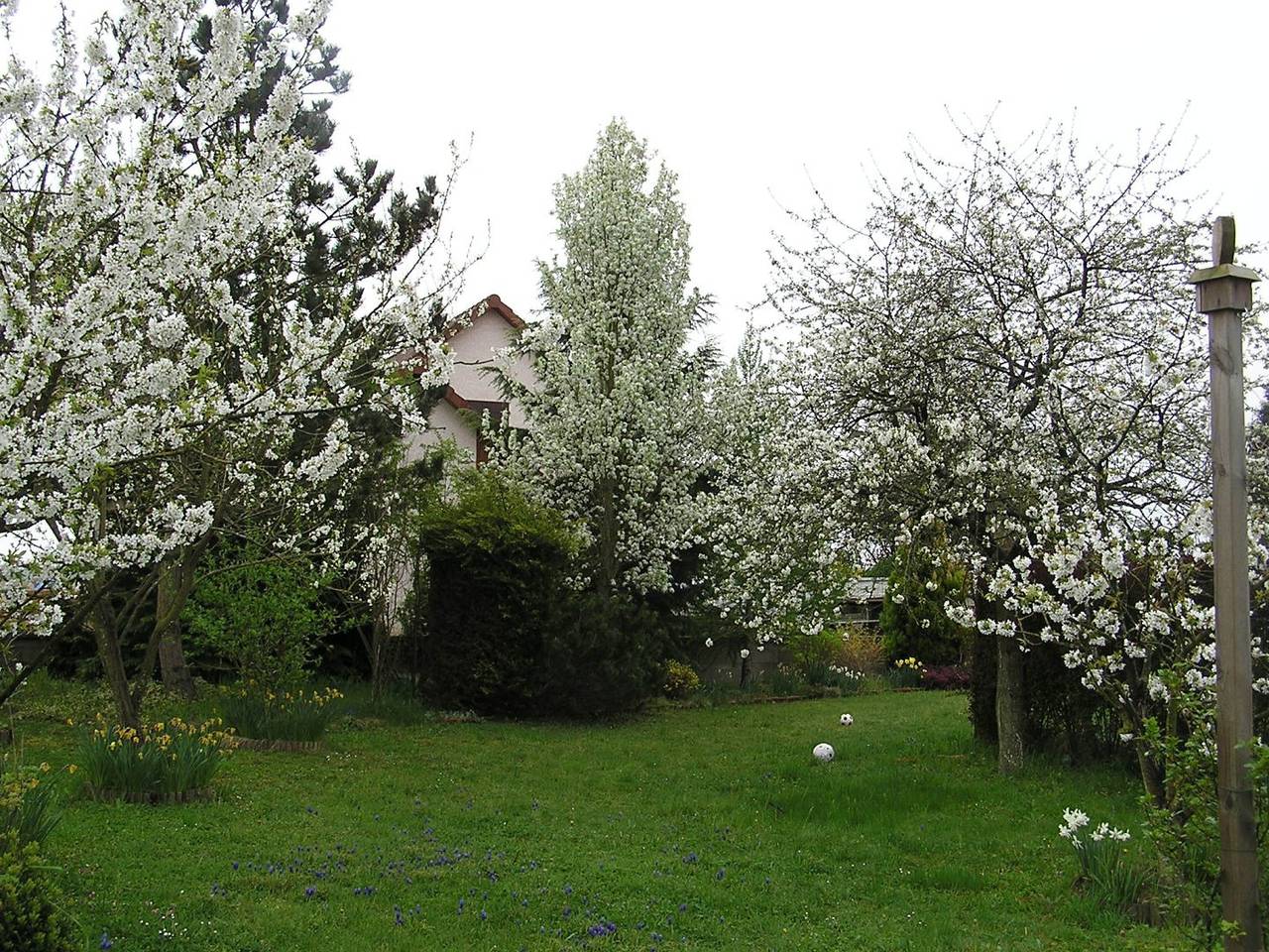 Chambres d'hôtes "La Maison d'Andrée" - Chambre Savoie in Pluvet, Région de Dijon