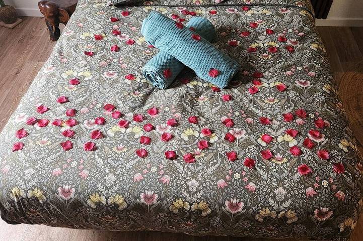 Entire apartment, Paradiseroom44 studio perfect for a romantic getaway in Carquefou, Nantes region