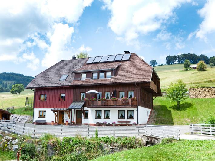 Ganze Wohnung, Ferienwohnung '3 Kapelle' mit Bergblick, Gemeinschaftsterrasse und Wi-Fi in Todtnauberg (Todtnau), Todtnau