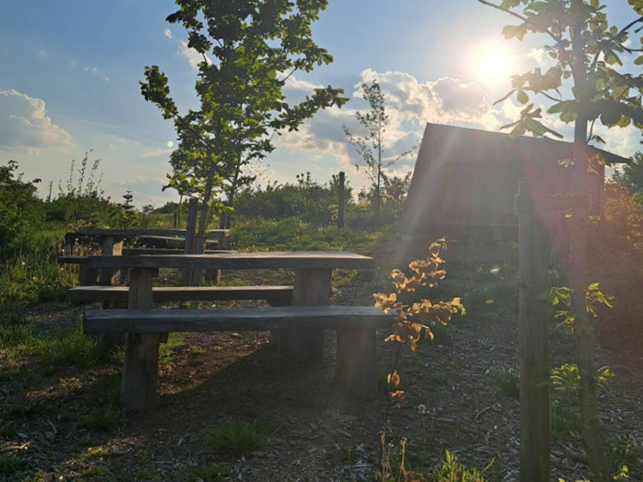 Ganze Ferienwohnung, Trekkingplatz Himmelsnah - Holzplattform, max. 2 Zelte, max. 4 Personen in Brilon, die Mittelgebirge