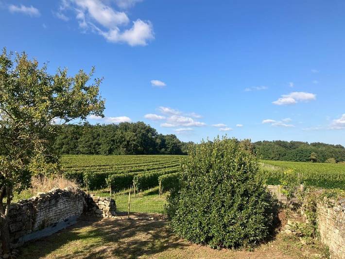 Maison de vacances pour 4 personnes, avec vue et jardin - 1