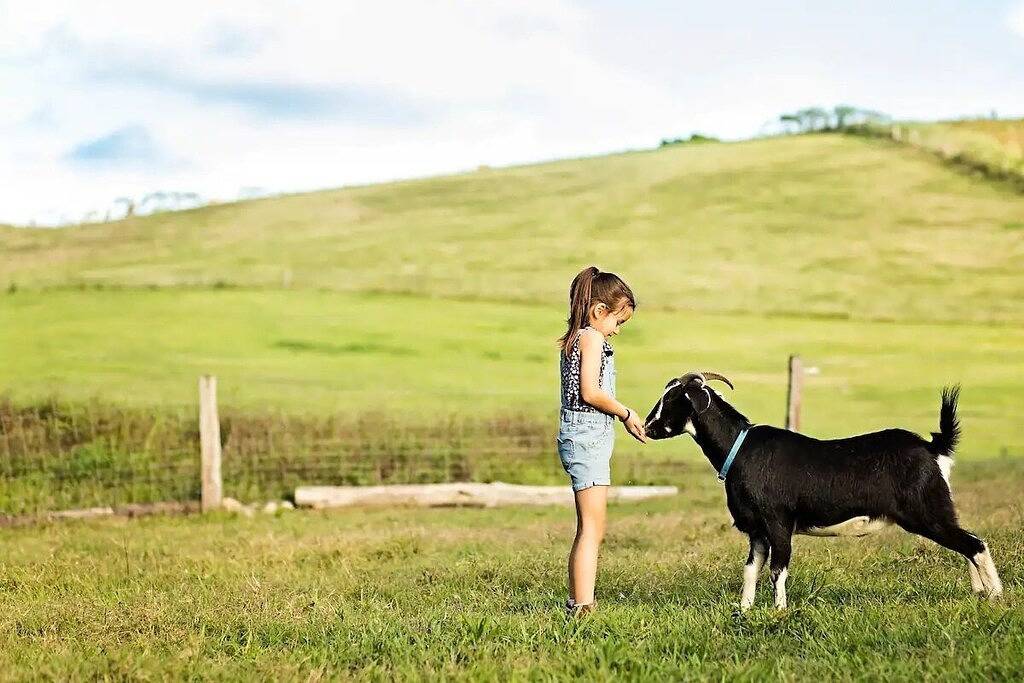 Lodge for 4 People in Noosa Shire