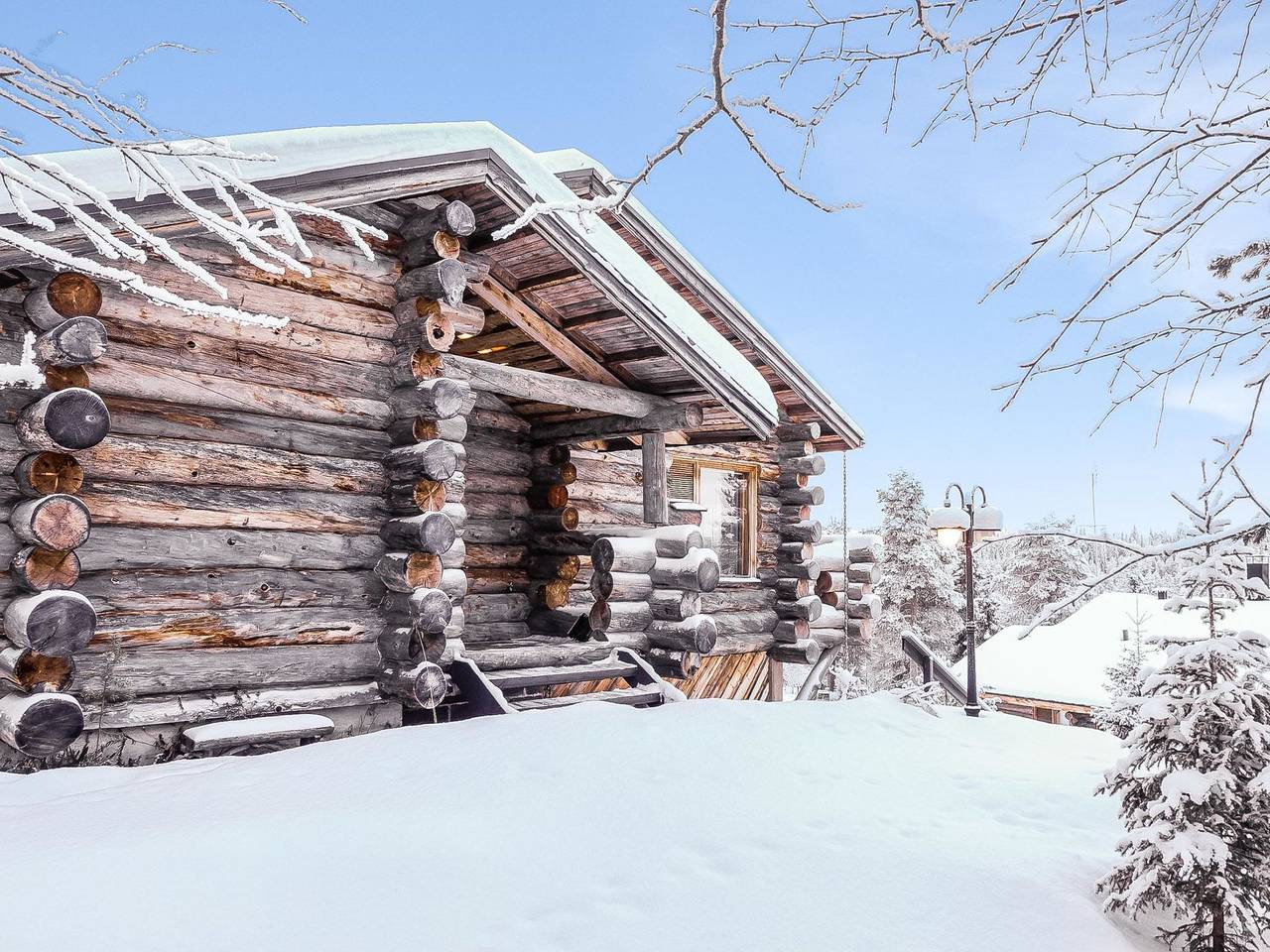 Sallanhelmi c1 in Sallatunturi, Lappland