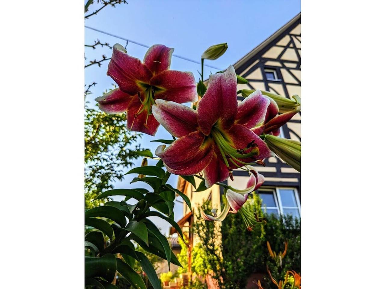 Holiday apartment in Salem with swimming pool in Salem, Region Bodensee-Oberschwaben