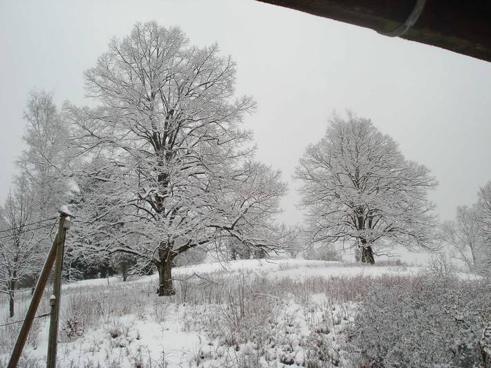 Bauernhaus für 9 Personen, mit Pool und Sauna sowie Garten, mit Haustier in der Fränkische Schweiz - 4