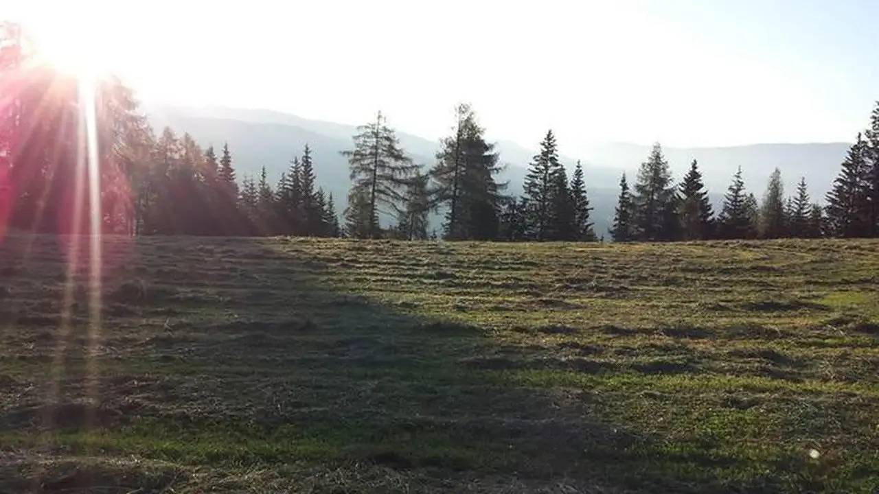 Ganze Ferienwohnung, Ferienwohnung für 6 Personen (85 m²) in Göriach in Göriach, Bundesland Salzburg